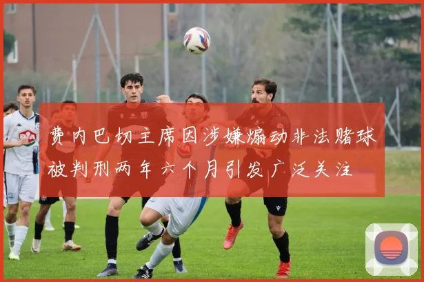 费内巴切主席因涉嫌煽动非法赌球被判刑两年六个月引发广泛关注